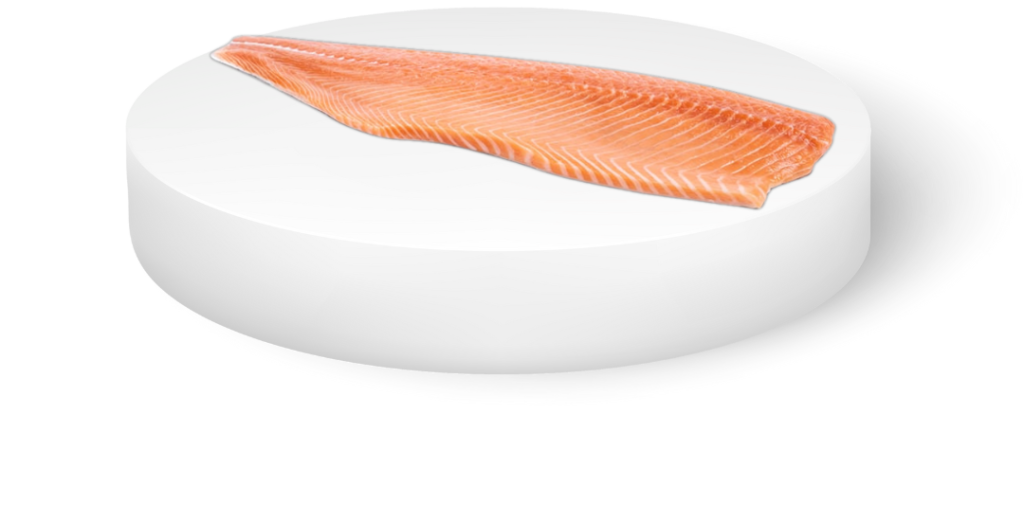 Salmon fillet
