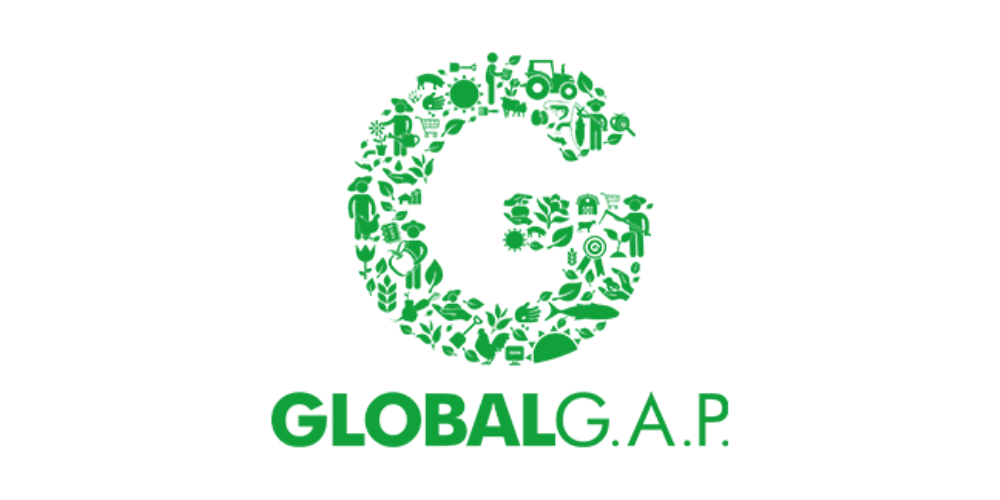 global g.a.p. certificate