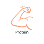 Protein